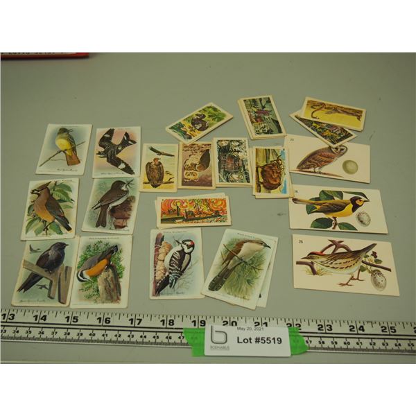 Nabisco Cards, Church and Dwight Ltd Useful Birds of America Cards, 3 Big G Cereal Canadian Bird Lif