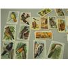 Image 2 : Nabisco Cards, Church and Dwight Ltd Useful Birds of America Cards, 3 Big G Cereal Canadian Bird Lif