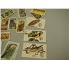 Image 3 : Nabisco Cards, Church and Dwight Ltd Useful Birds of America Cards, 3 Big G Cereal Canadian Bird Lif
