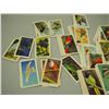 Image 2 : Red Rose Tea Cards Tropical Birds