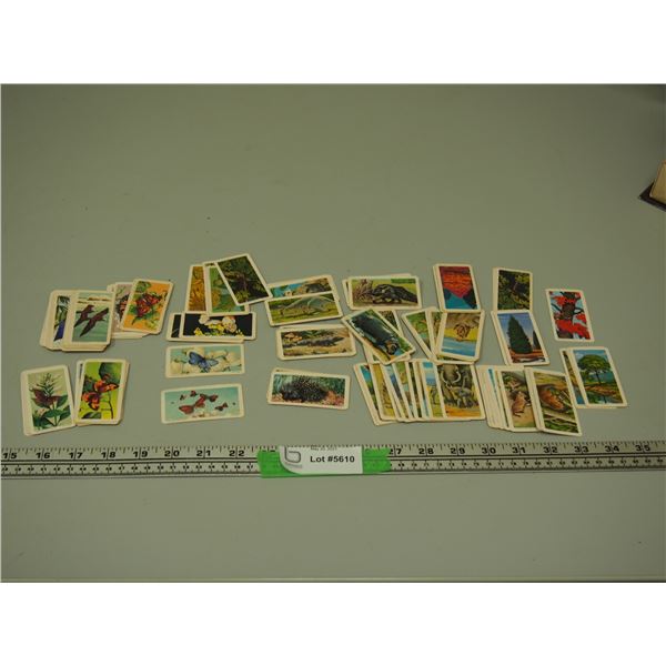 Mixed Lot of Red Rose Tea Cards