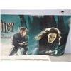 Image 3 : Harry Potter Movie Poster (65" L)