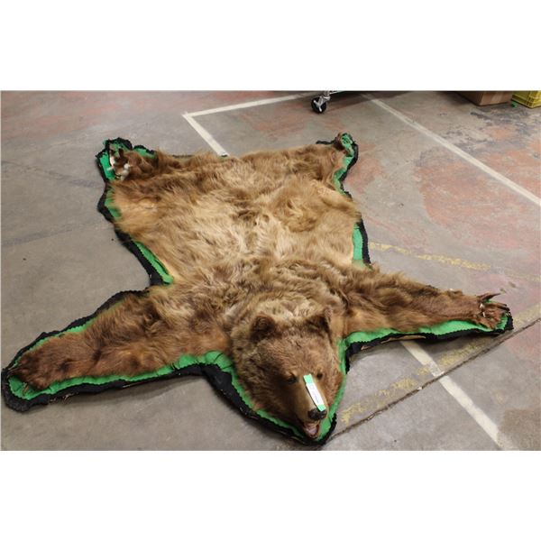 Cinnamon Bear Rug (Missing Claws) (Vintage, Old)