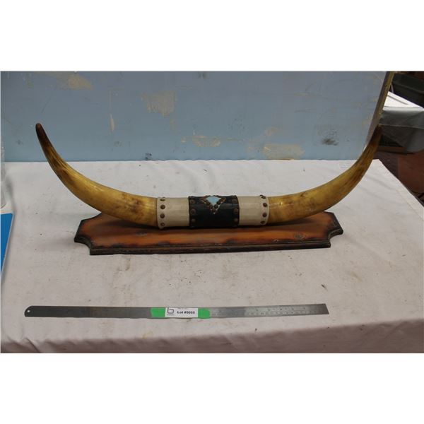 Mounted Steer Horns 29" Spread