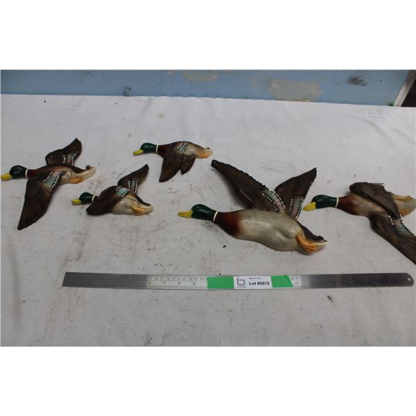 5 Wall Mounted Ducks Painted Plaster Different Sizes