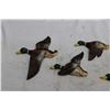 Image 4 : 5 Wall Mounted Ducks Painted Plaster Different Sizes
