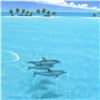 Image 2 : Dan Mackin, "Dolphin Trio" Hand Signed Lithograph from a Sold Out Limited Editio