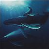 Image 2 : Wyland, "Whale Protection" Limited Edition Cibachrome, Numbered and Hand Signed