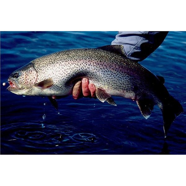 CAST AND BLAST ON THE KENAI