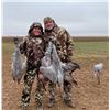 Image 1 : TEXAS SANDHILL CRANE HUNT