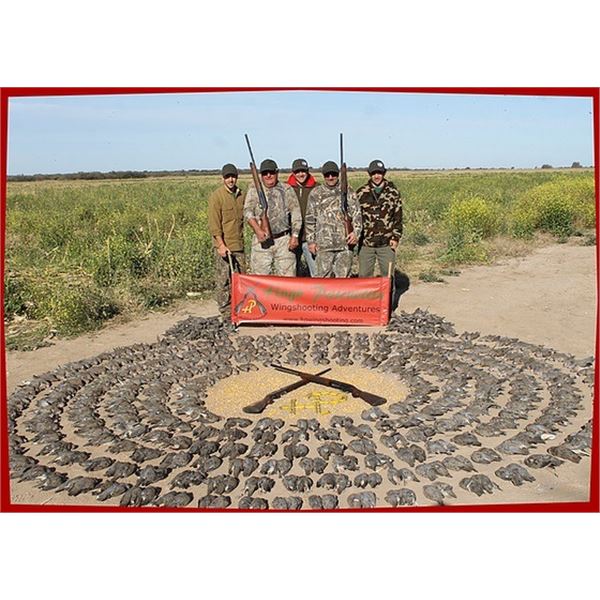 ARGENTINA DOVE HUNT