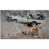 Image 1 : KIDO SAFARIS
