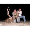 Image 2 : Great hunt for red stag for 1 hunter