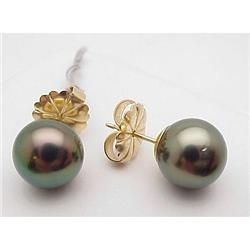 Tahitian Pearl Earrings