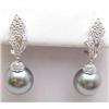 Image 1 : Tahitian Pearl Earrings