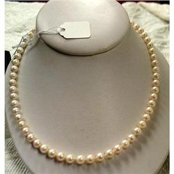 Pearl Necklace