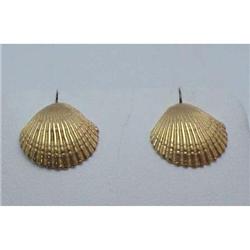 Shell Earrings