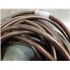 Image 3 : 2 commercial grade 100 foot hoses