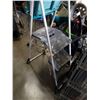 Image 3 : Three-step Cosco painters ladder