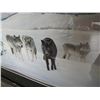 Image 3 : EVENING ON BLANKET GLACIER LEP BY GLENN OLSON #25241 - HAND SIGNED AND NUMBERED LIMITED EDITION PRIN