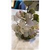 Image 3 : SMALL JADE TREE
