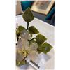 Image 4 : SMALL JADE TREE
