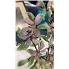 Image 3 : SMALL JADE TREE AND GRAPES