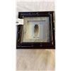 Image 1 : SHADOWBOX COSTA RICA SONG CICADA