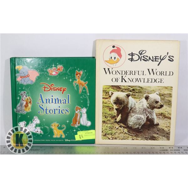 LOT OF 2 HARDCOVER DISNEY BOOKS