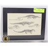 Image 1 : REPTILES 10 FINE 1884 STEEL ENGRAVINGS + 1 SAMPLE