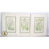 Image 1 : 3 ANNE PRATT BOTANICAL LITHOGRAPHS FROM 1890