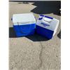 Image 1 : Two small coolers