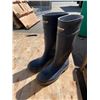 Image 1 : Steel toed boots size 10