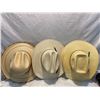 Image 1 : Stetson abs other hats 7 3/4