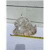 Image 1 : Conche