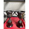 Image 1 : Two smaller trophies