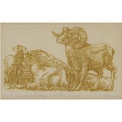 Marsha Howe, Engraving