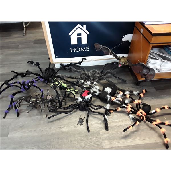 Lot of Spiders and Hanging Bat
