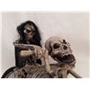 Image 2 : Skeleton Motorcycle Aprox 4'-5' Long