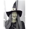 Image 2 : Motorized Witch W/Broom Apr 5'