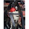 Image 3 : Large Casket Filled W/Skeletons & More