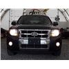 Image 44 : I4 --  2008 FORD ESCAPE LTD AWD , Grey , 162262  KM's