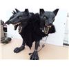 Image 2 : Motorized 3 Headed Wolf Apr 3'x3'