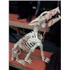 Image 1 : Hell Hound