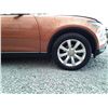 Image 17 : H6B --  2003 INFINITI FX45 , Orange , 190333  KM's