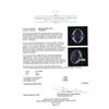 Image 5 : 17.13 ctw Tanzanite, Sapphire and Diamond Ring - 14KT White Gold