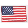 Image 1 : Al Worden's Apollo 15 Lunar Orbit-Flown Flag
