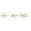 Image 1 : The Police Signatures