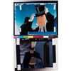 Image 1 : Batman and Penguin production cels from Batman: The Animated Series