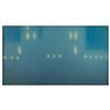 Image 1 : Nighttime city outline production background from Mr. Bug Goes to Town
